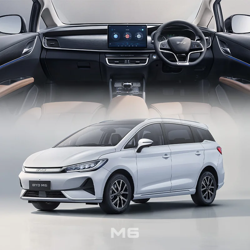 BYD M6